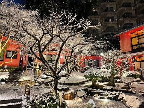 雪景色が美しい中庭